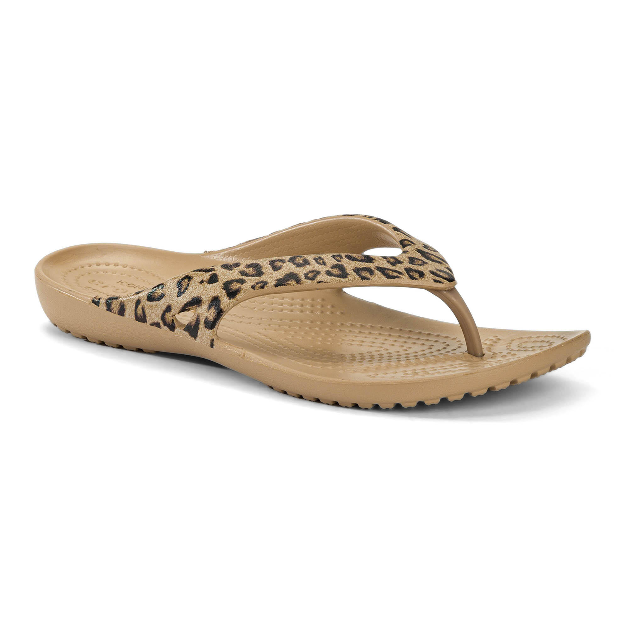 CROCS picture