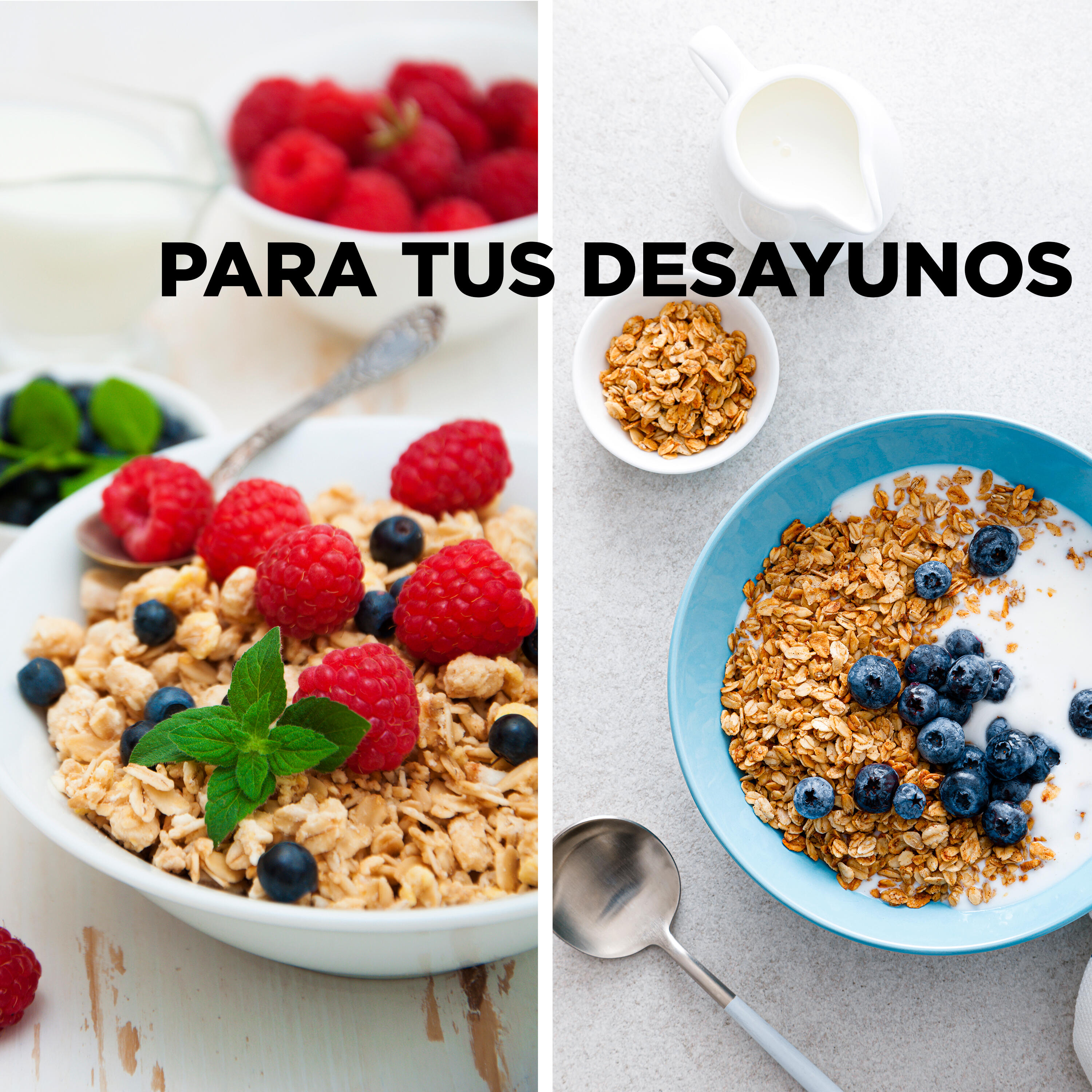 Copos Avena Gruesos Integrales BIO Sport Live - 1Kg - DRASANVI 4/5