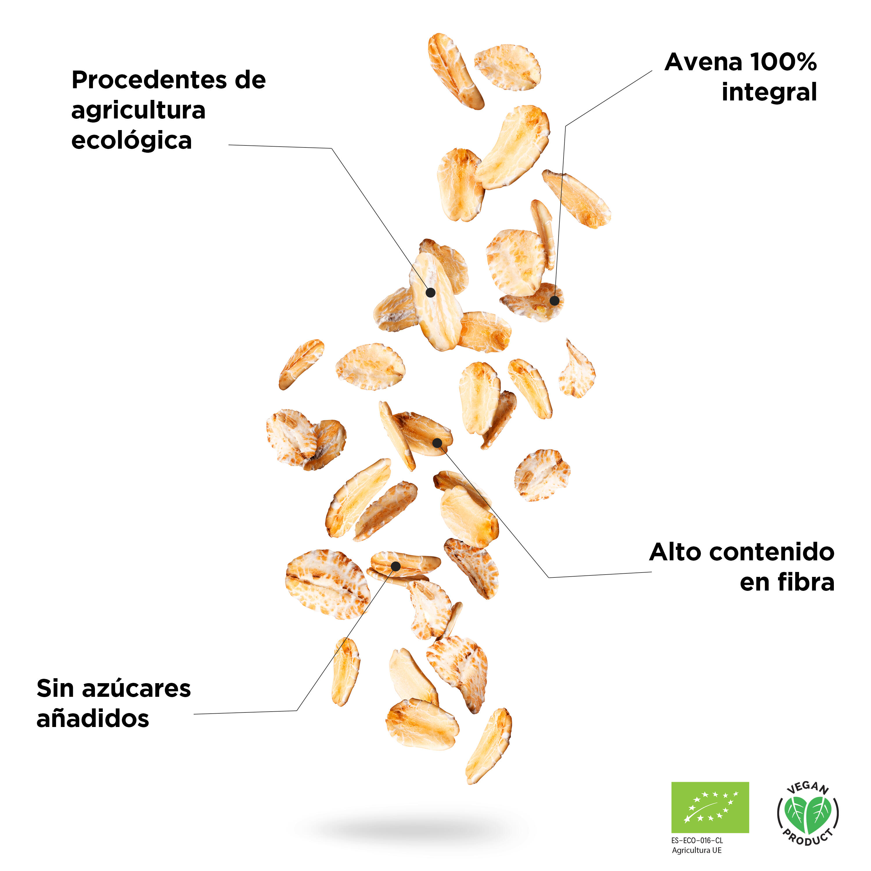 Copos Avena Gruesos Integrales BIO Sport Live - 1Kg - DRASANVI 2/5