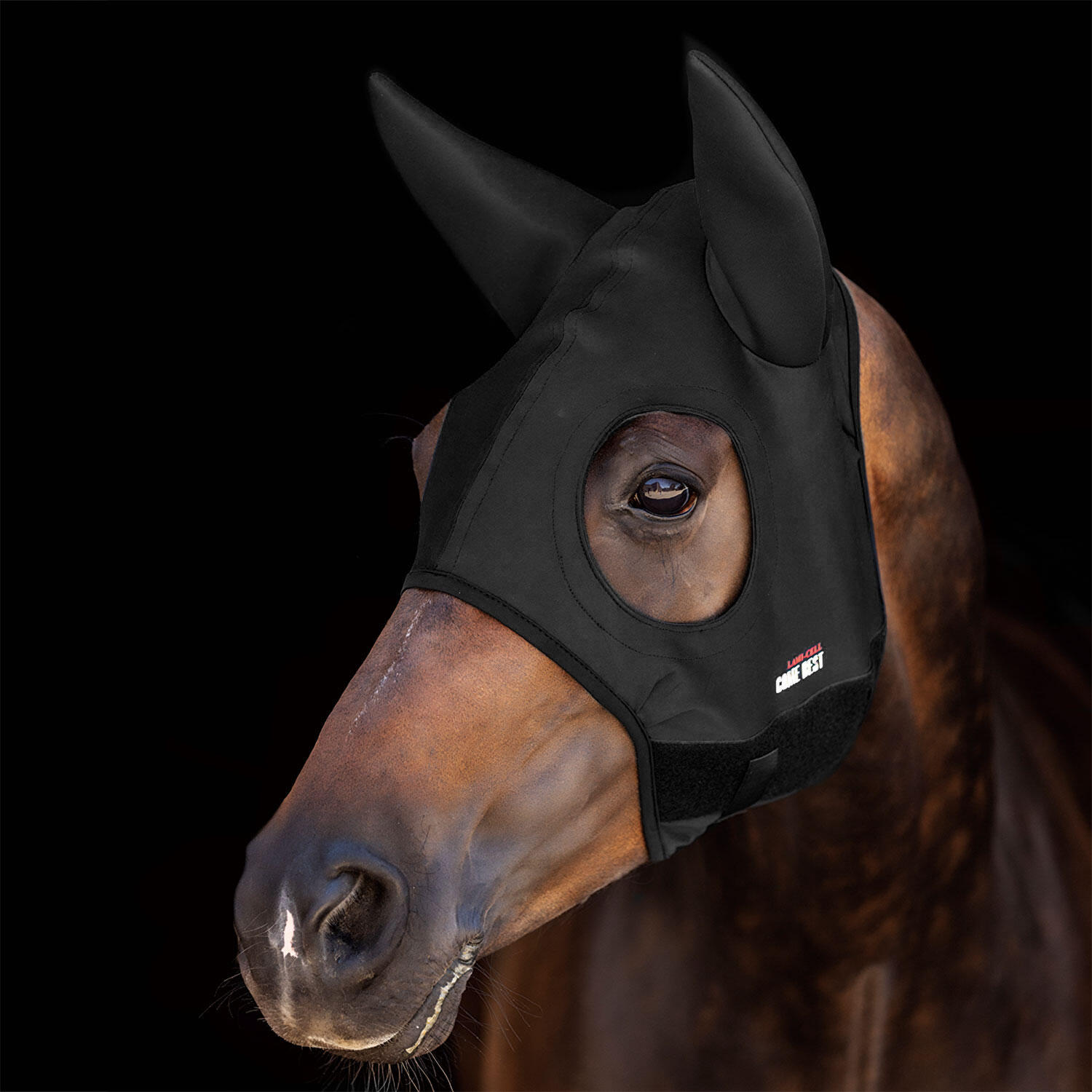 Maschera cavallo Come Best in titanio con orecchie |  Lami-cell