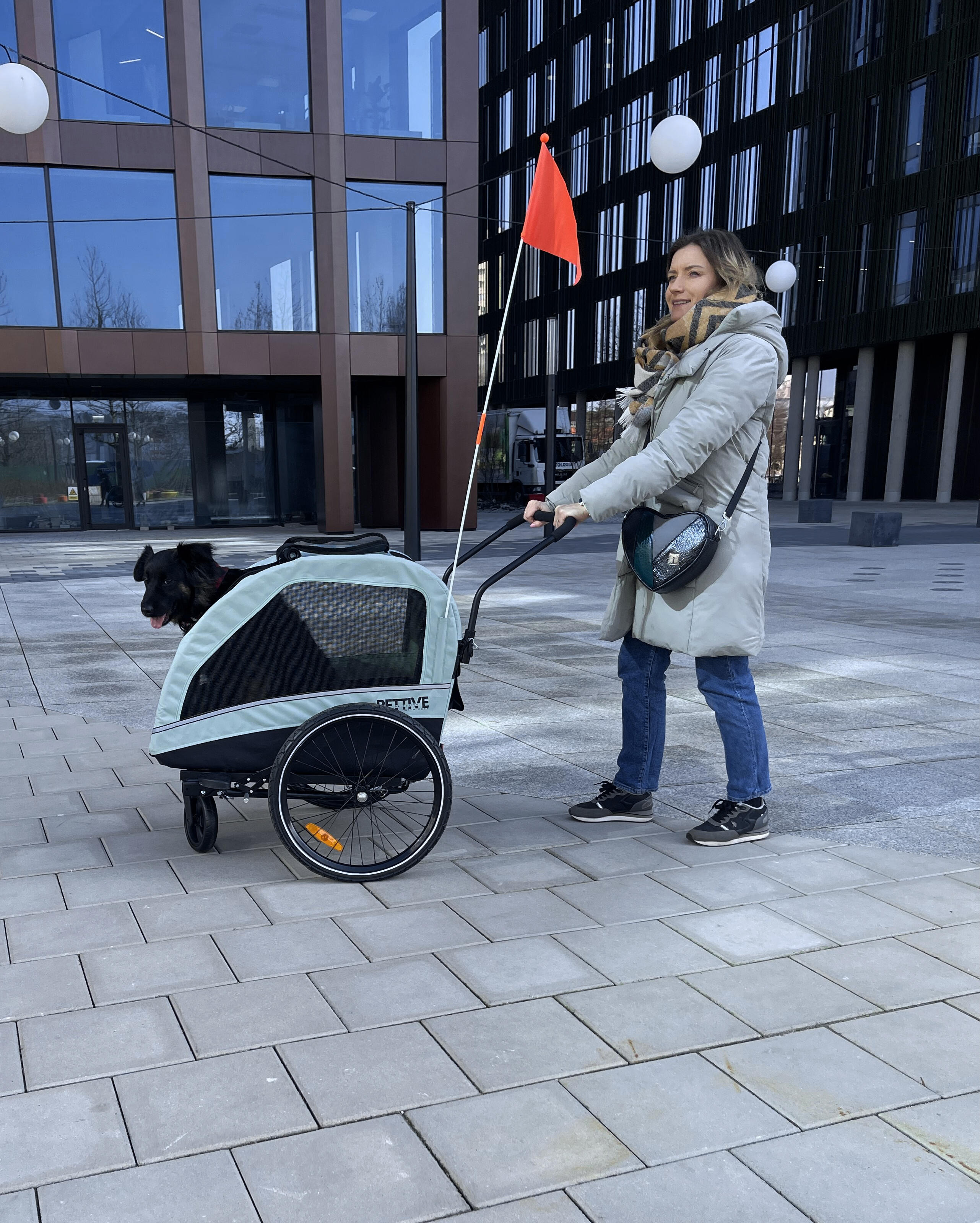 Przyczepka rowerowa z funkcją wózka spacerowego dla psa PETRIVE do 40 kg 2/7