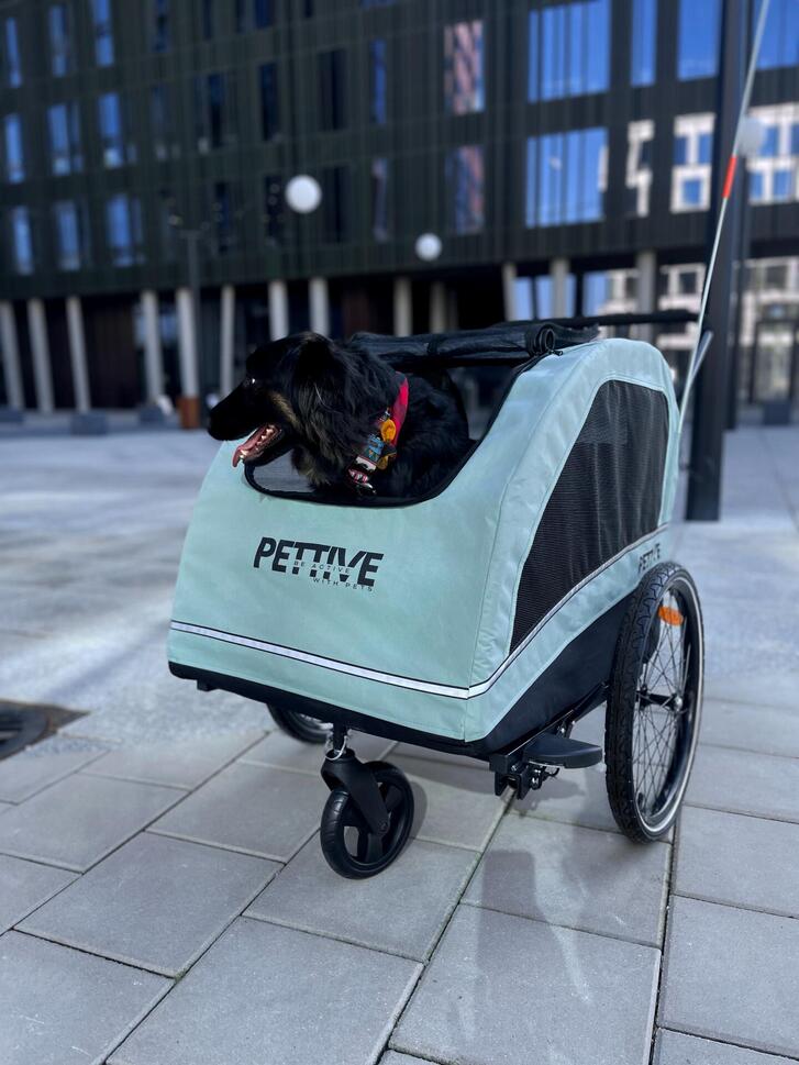 Wózek z funkcją przyczepki rowerowej dla psa PETRIVE do 40 kg