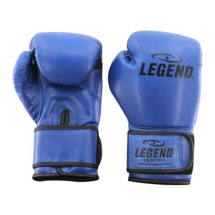 Gants de boxe Powerfit & Protect Homme/Femme Bleu PU