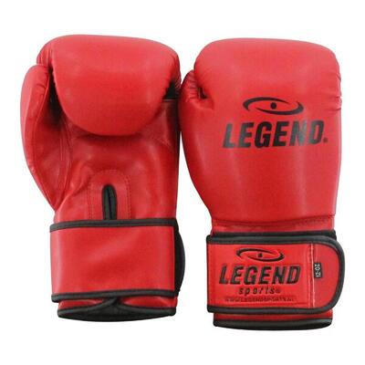 Guantoni boxe adulto Powerfit & Protect