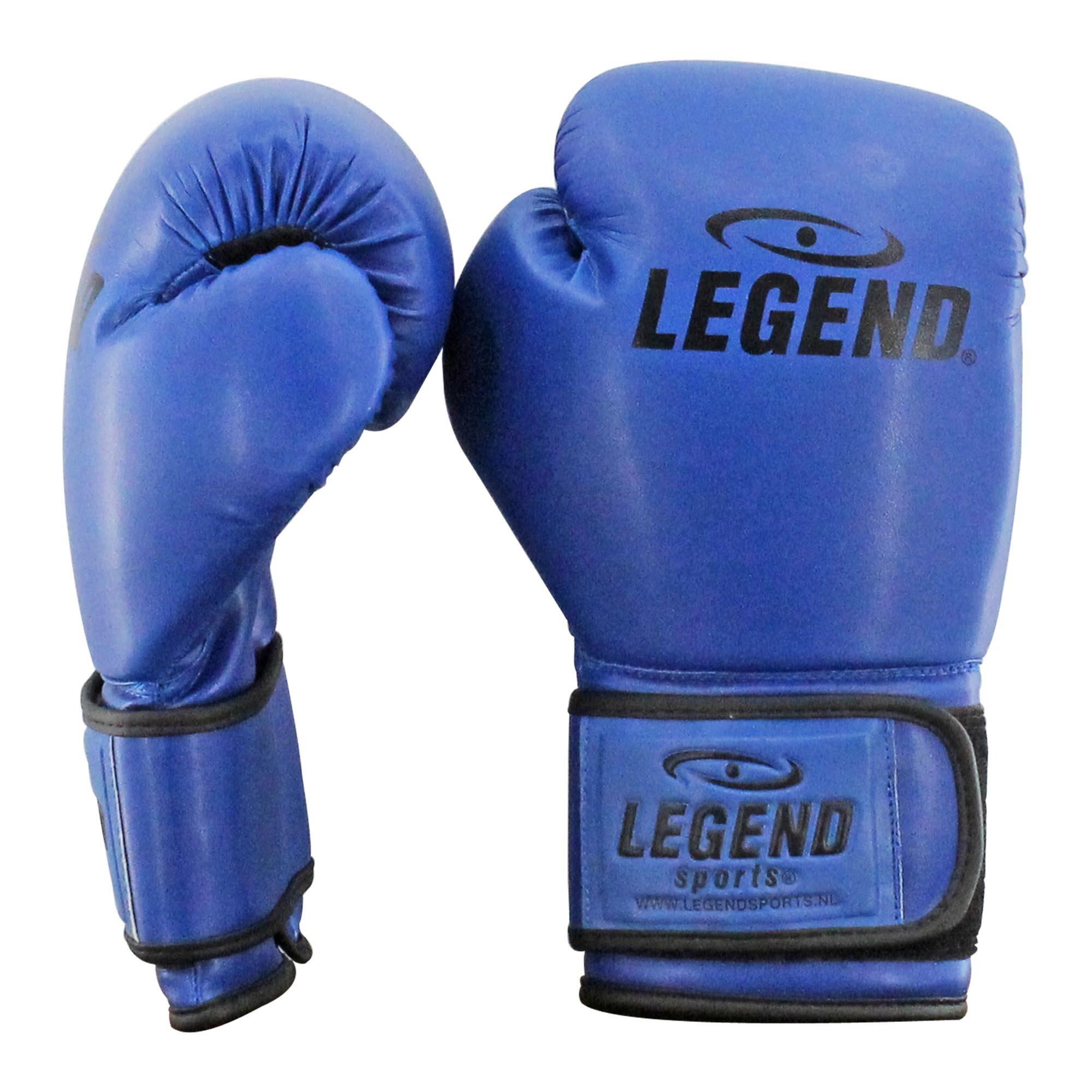 Powerfit & Protect Bokshandschoenen Heren/Dames Blauw PU 5/6