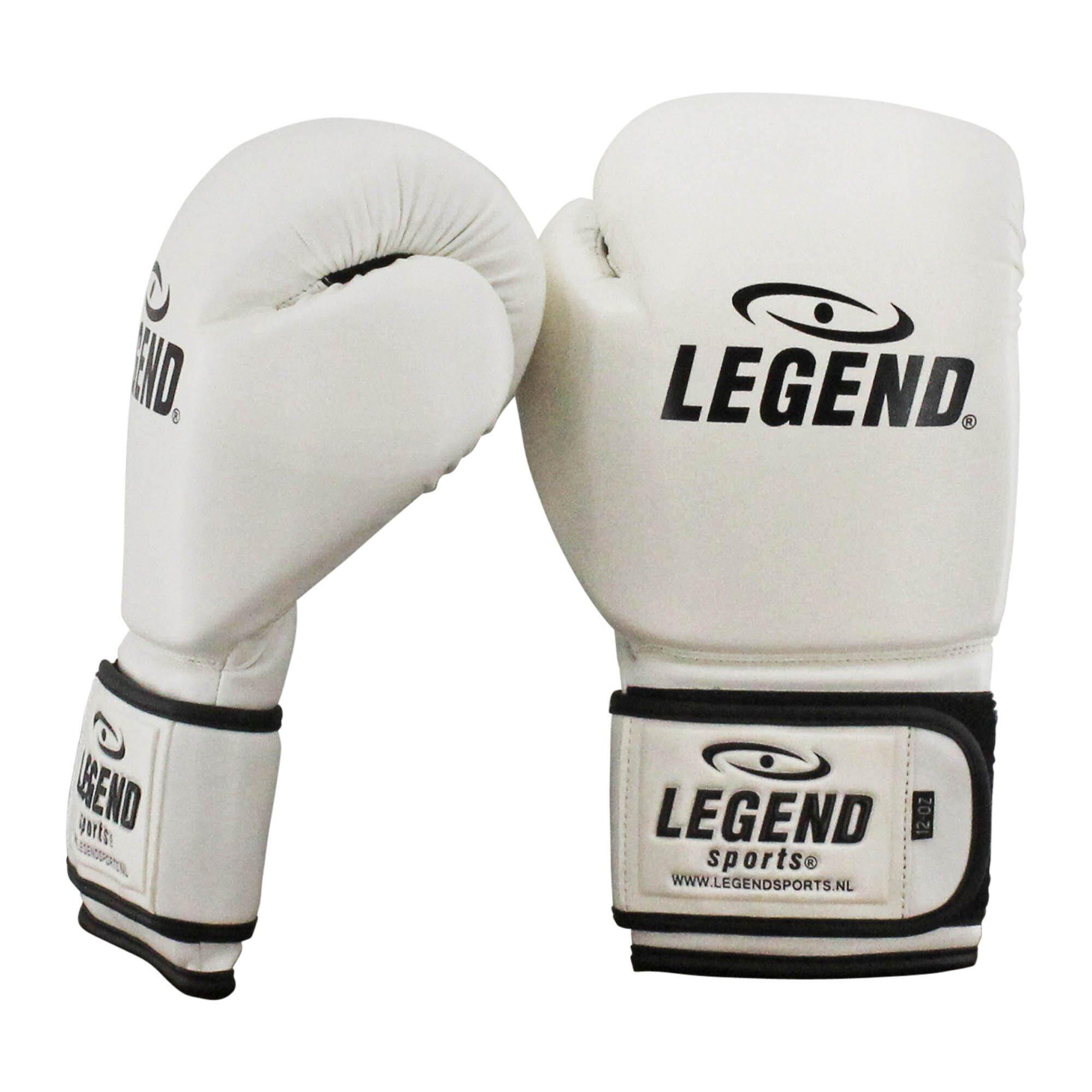 Guantoni boxe adulto Powerfit & Protect 5/6