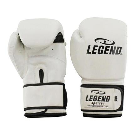 Powerfit & Protect Gants de Boxe Homme/Femme Blanc PU