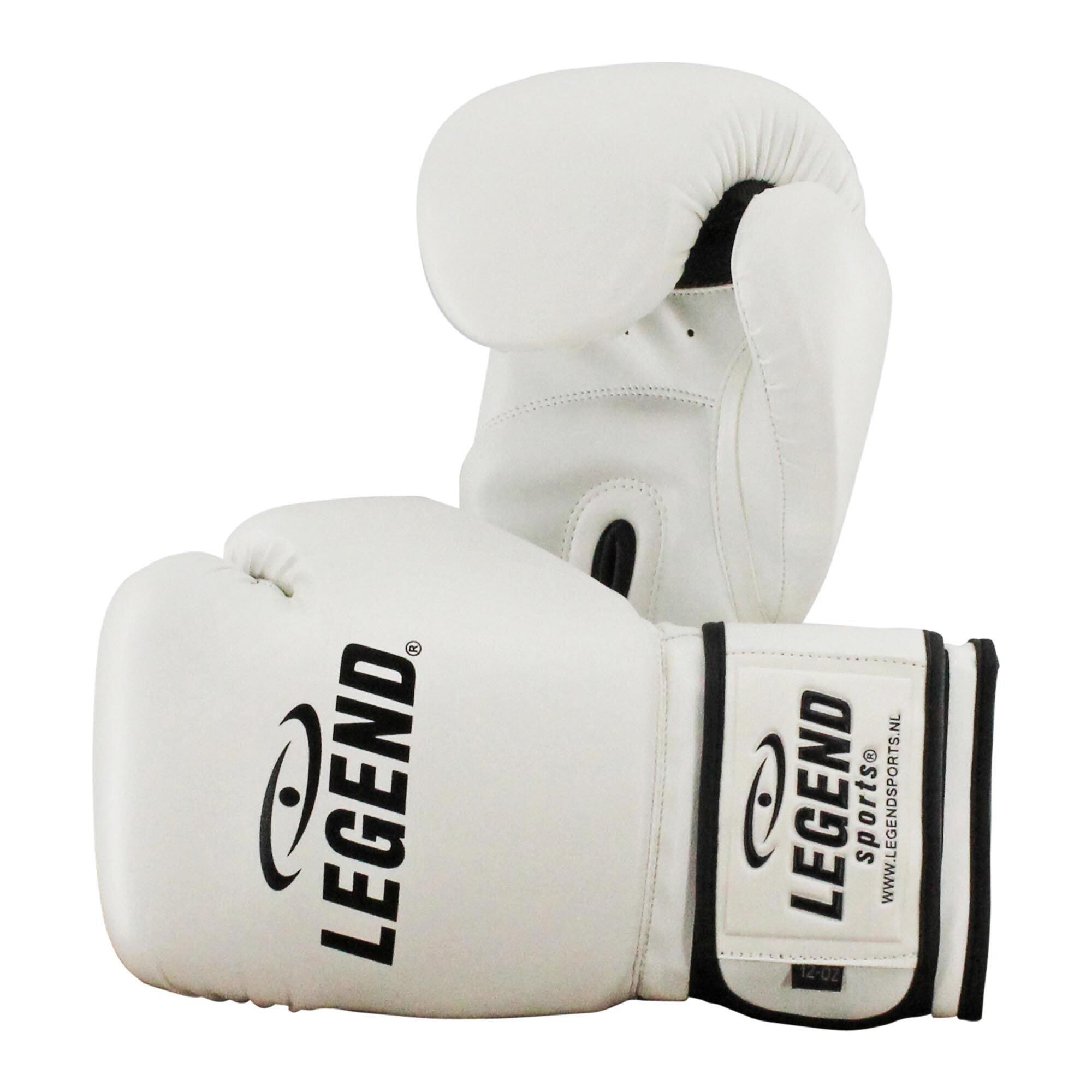 Guantoni boxe adulto Powerfit & Protect 4/6