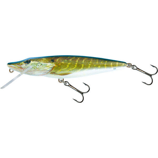 Leurre Salmo PE11F 2/3
