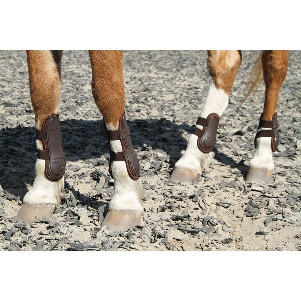 Harry's Horse Peesbeschermers Percy air 3/3