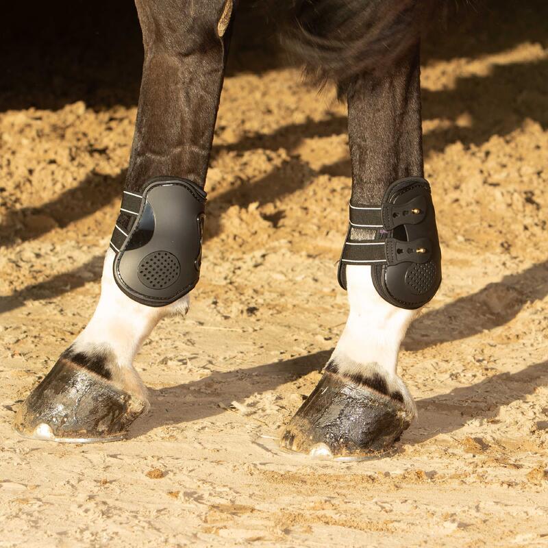 Protège-boulets pour cheval Harry's Horse Elite-R