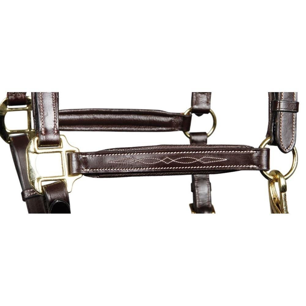 Halfter aus Leder Harry's Horse Supreme 2/3
