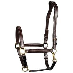 Licol pour cheval en cuir Harry's Horse Supreme