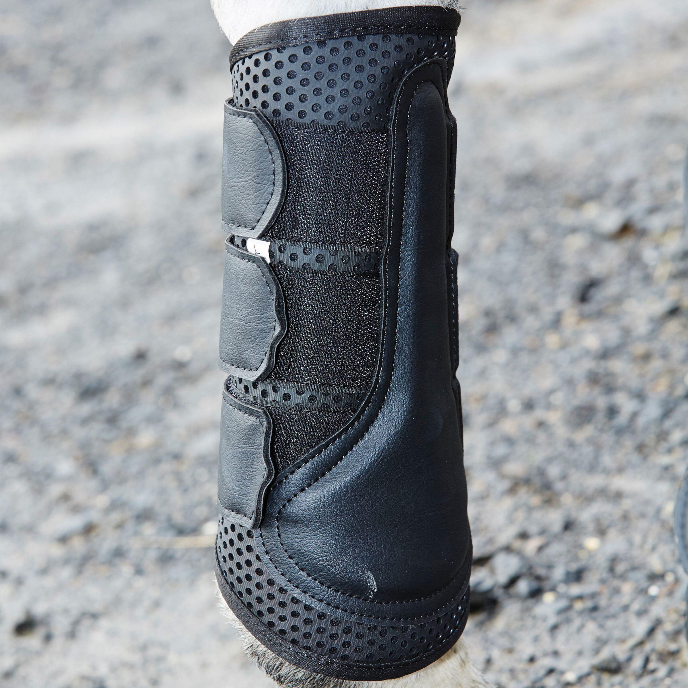 Stinchiere per cavalli da allenamento Weatherbeeta 3/5