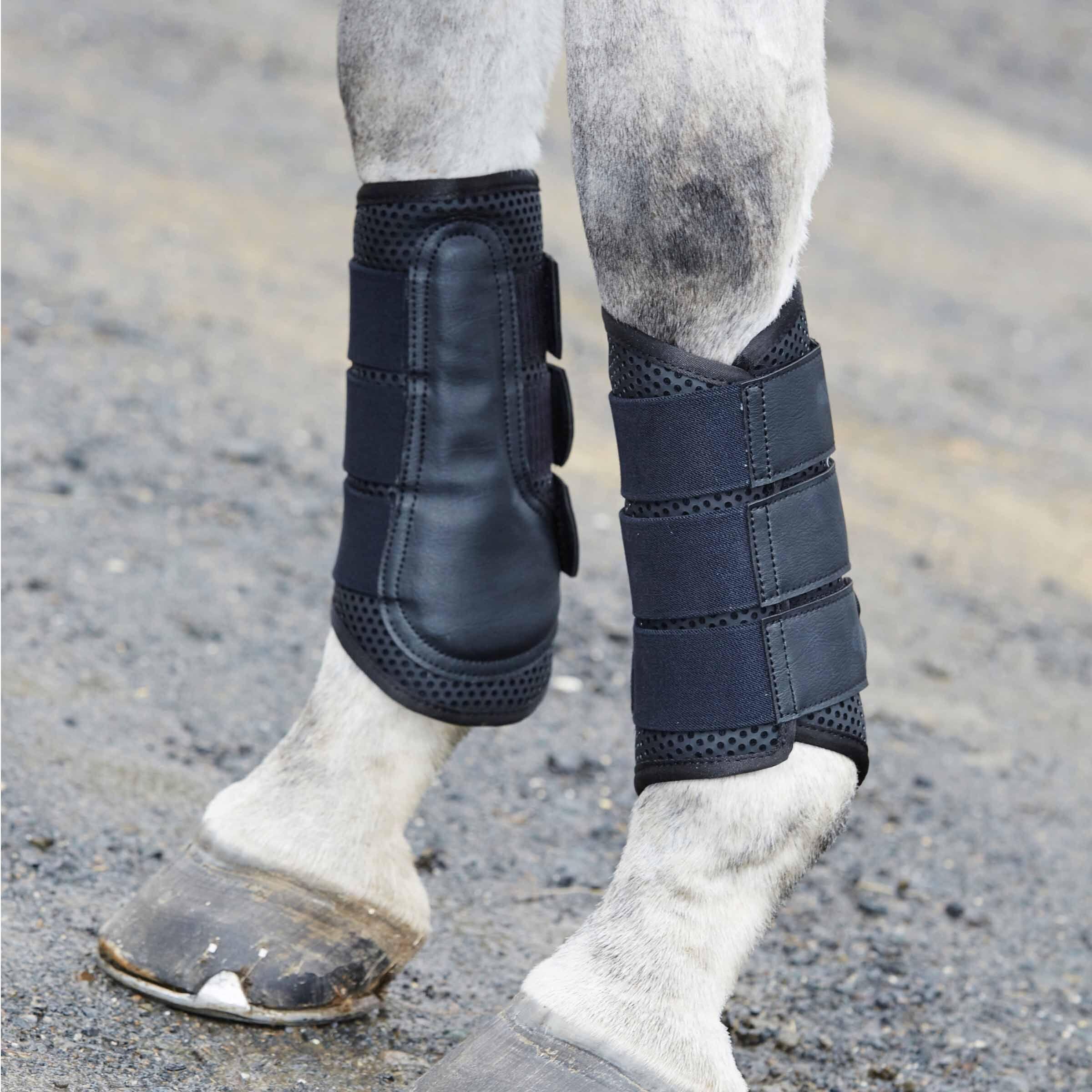 Exercise horse gaiters Weatherbeeta