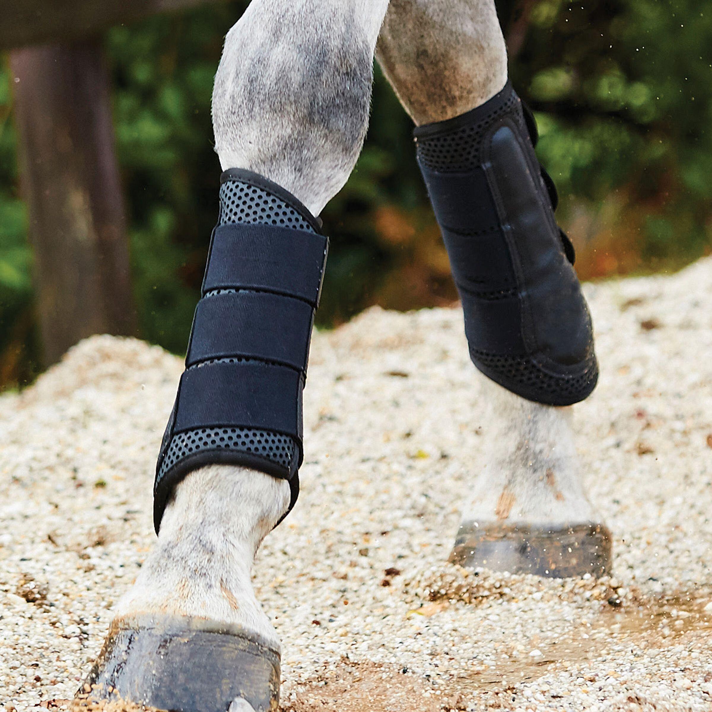 Exercise horse gaiters Weatherbeeta