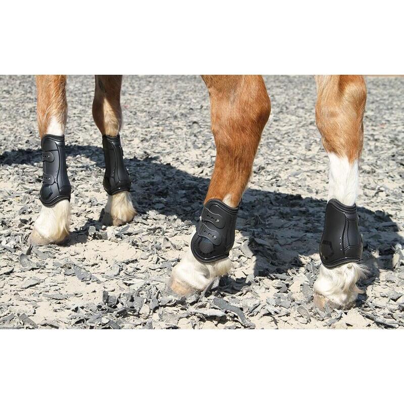 Protège-genoux pour cheval Harry's Horse Peesbeschermers Percy air