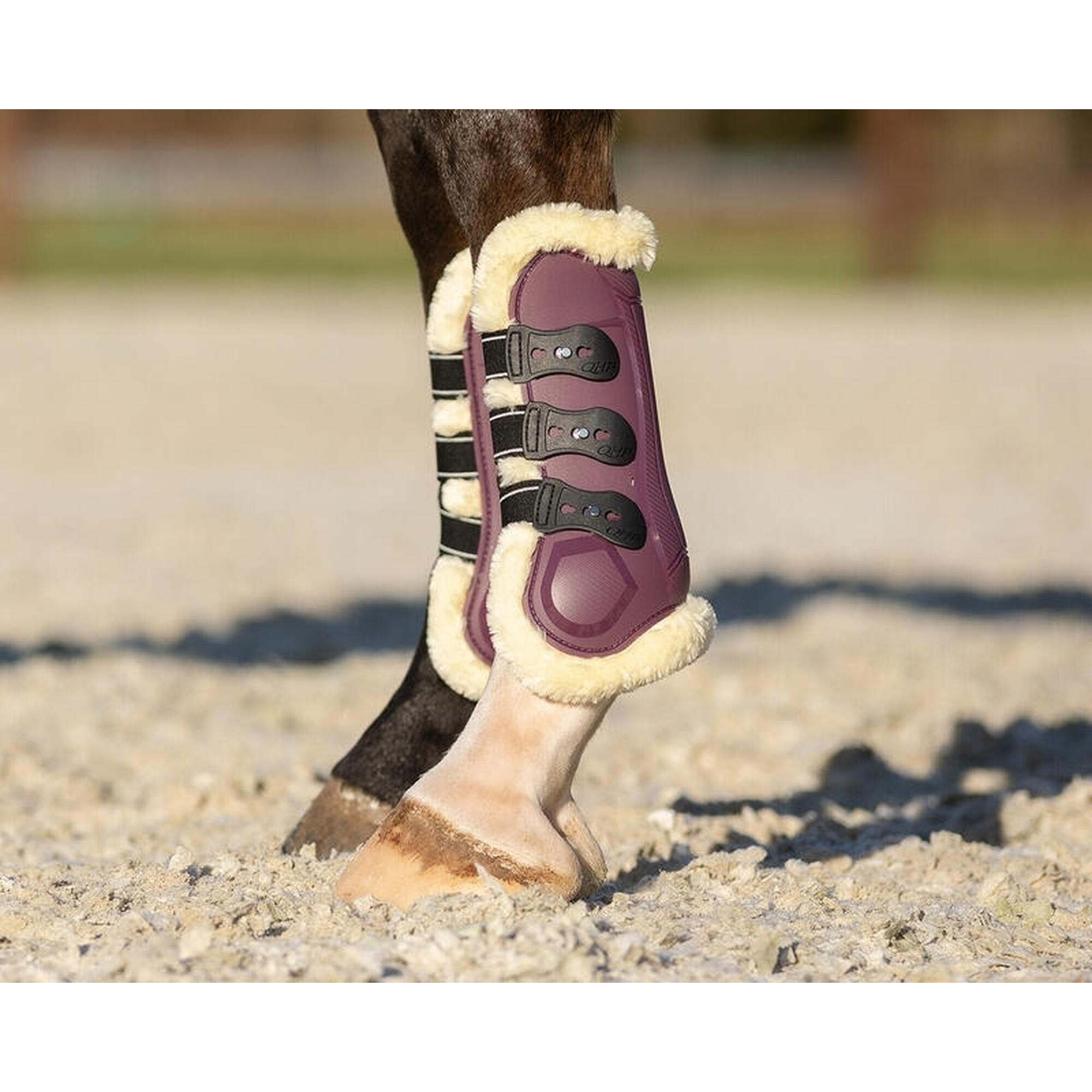 Open horse boots QHP Menton