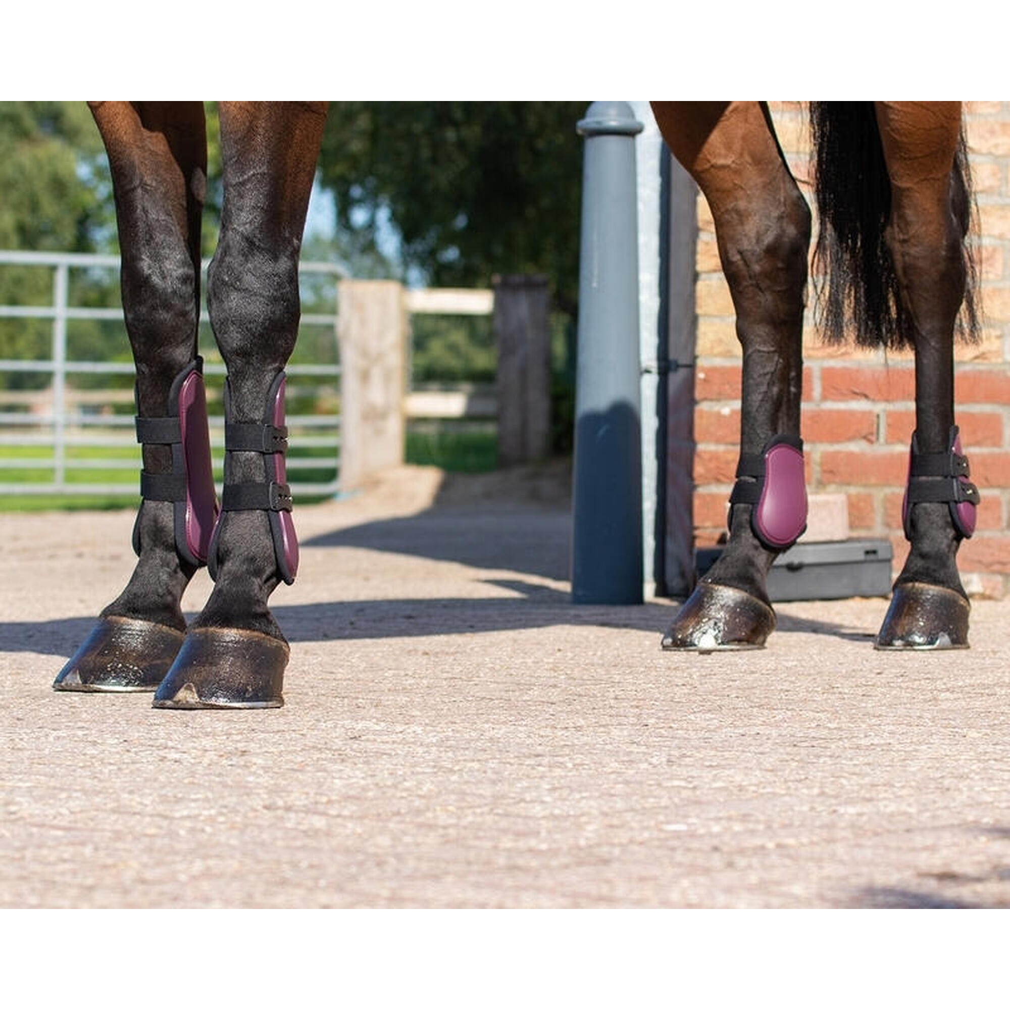 Ensemble guêtres antérieurs pour cheval et protège boulets Ouvertes QHP