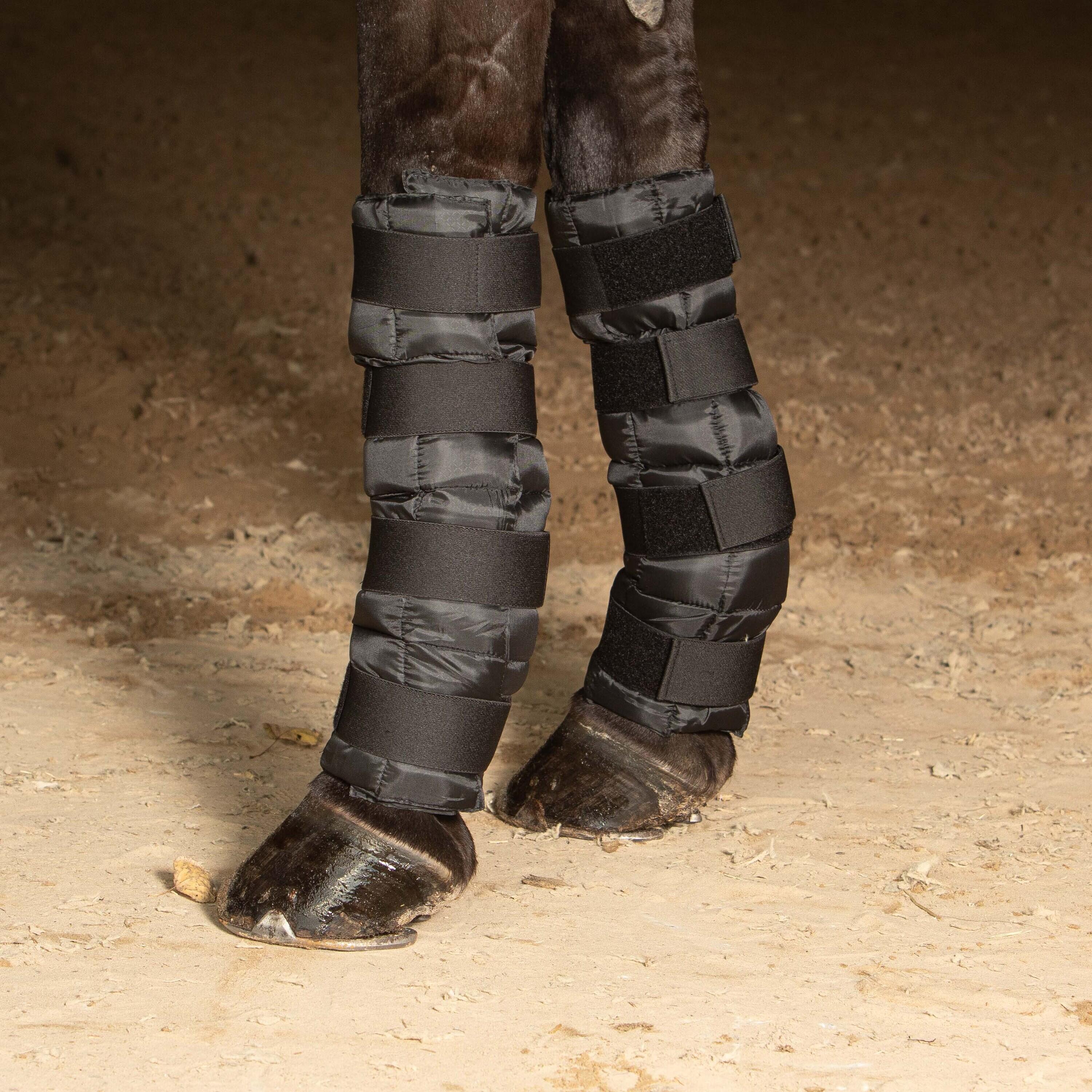 Harry's Horse horse gaiters with ice gel