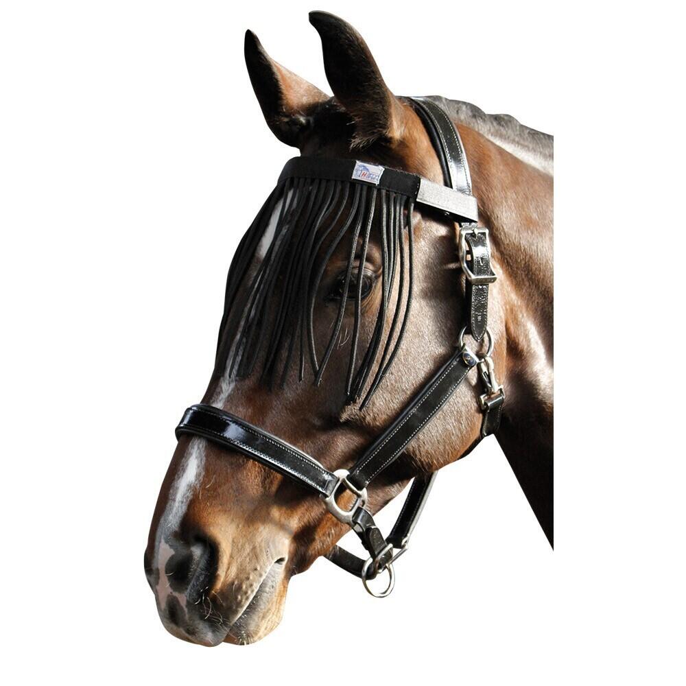 HARRYS HORSE picture