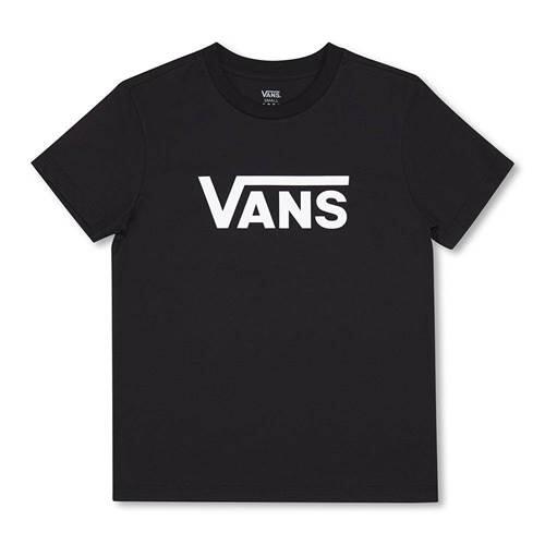 VANS picture