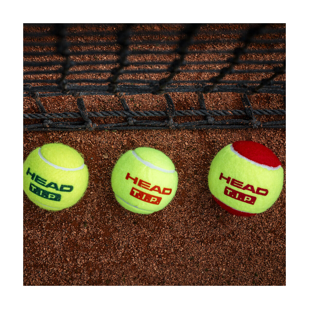 HEAD T.I.P. Green Einzeldose mit 3 Tennisbällen 2/7