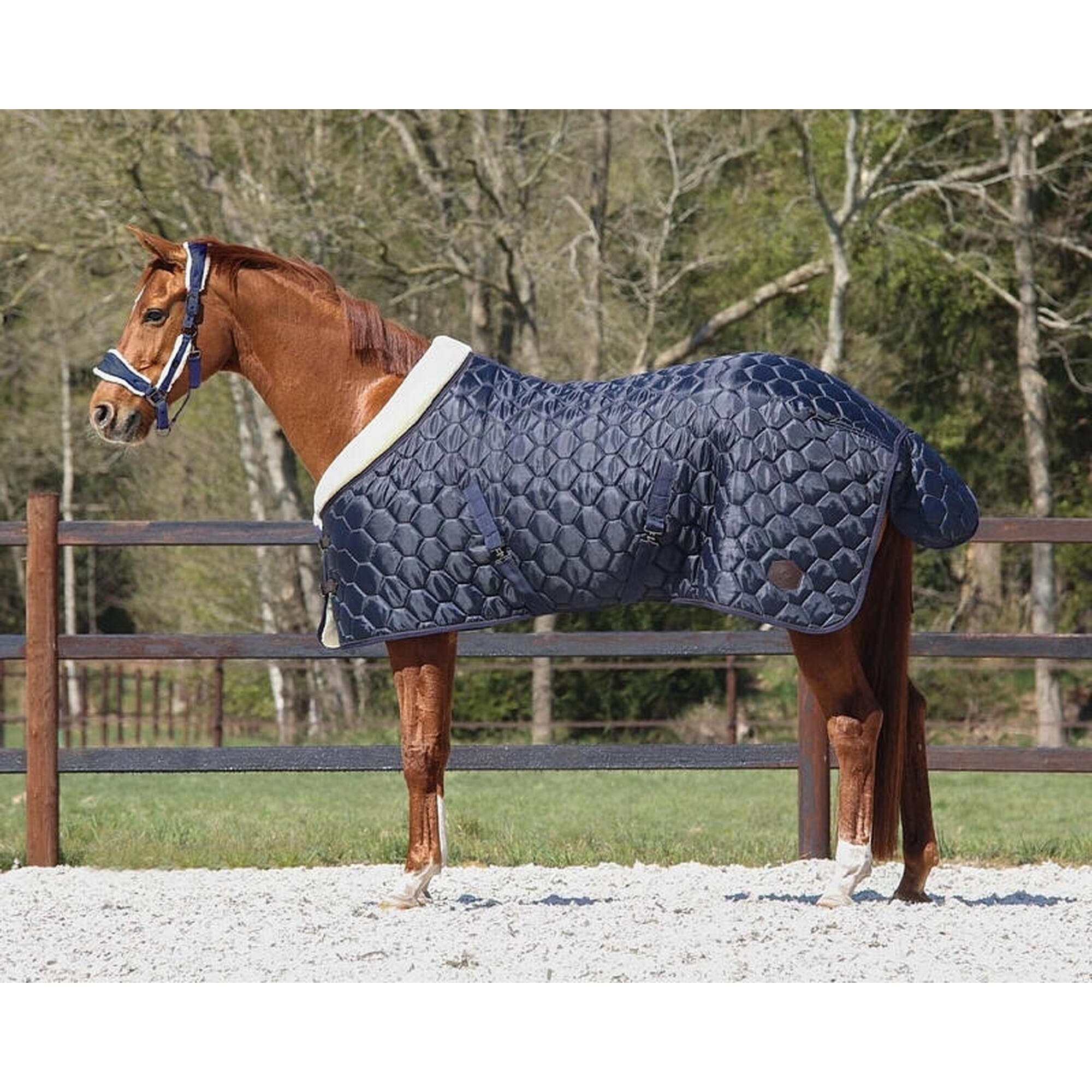 Horse stable blanket QHP Classy 100g