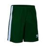 Volwassen Shorts Errea Bolton