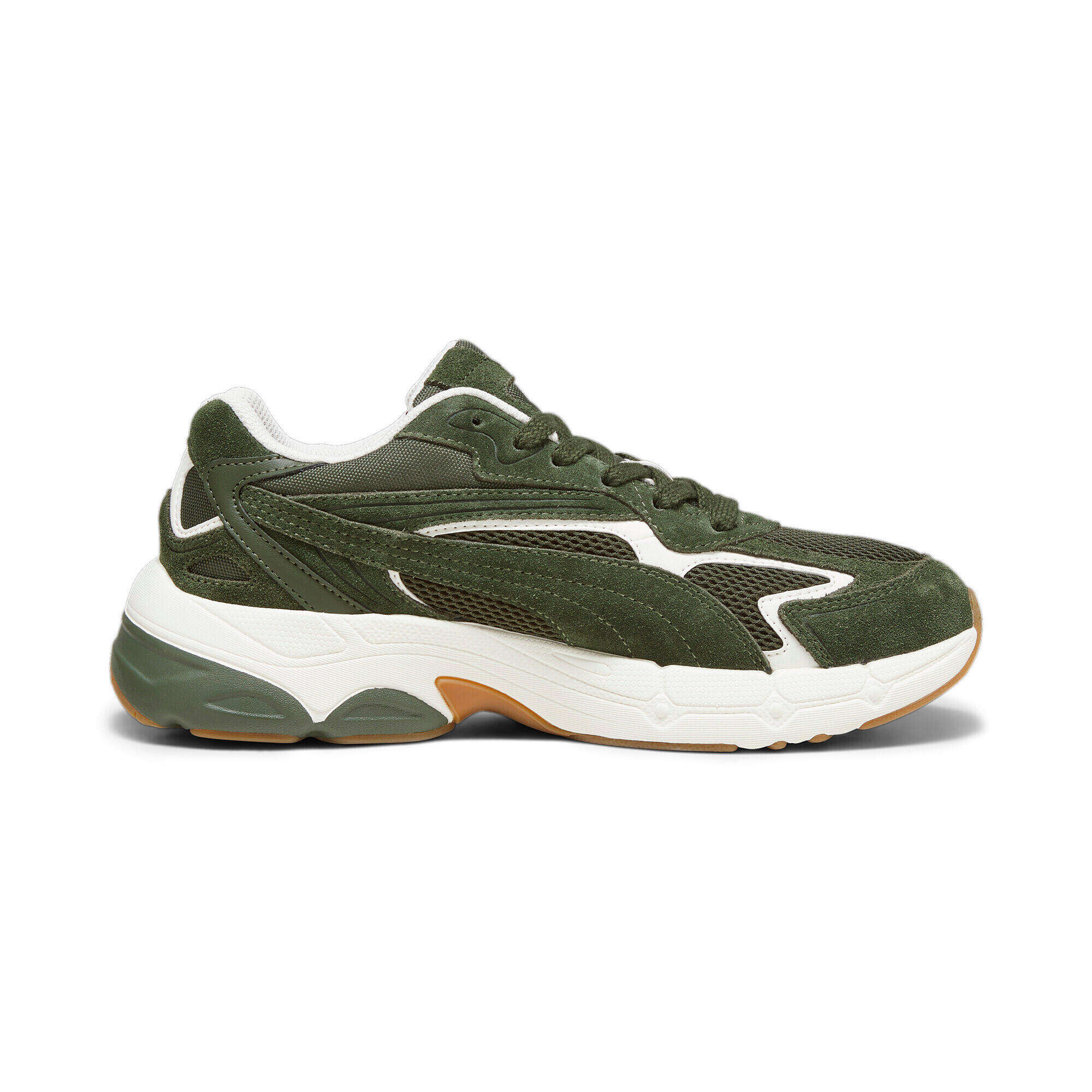 PUMA picture