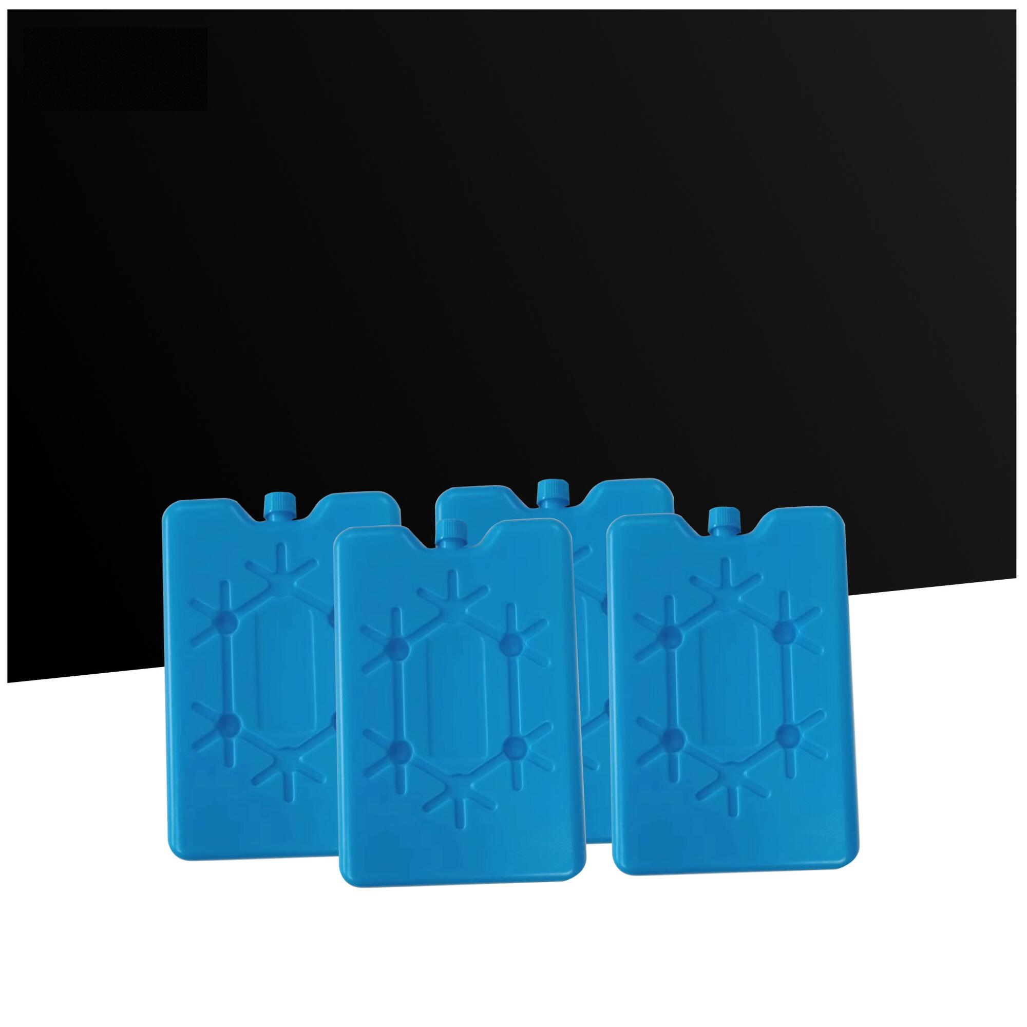 Mala Isotérmica 4 Camadas – Lunchbag – Mala de Piquenique – 30 L – Cor Preto 7/7