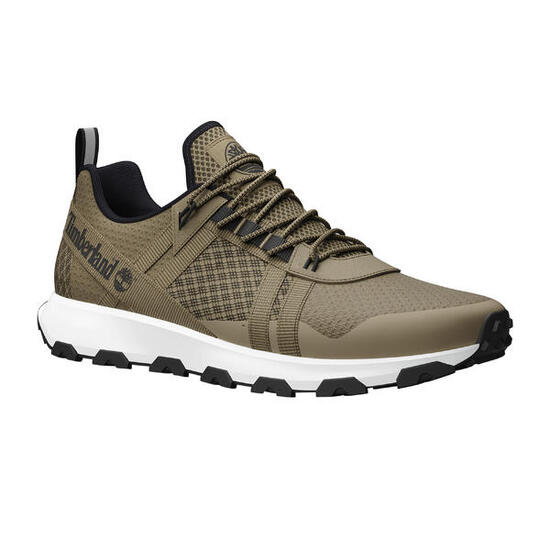 Scarpe Timberland Winsor Trail Low Lace da uomo