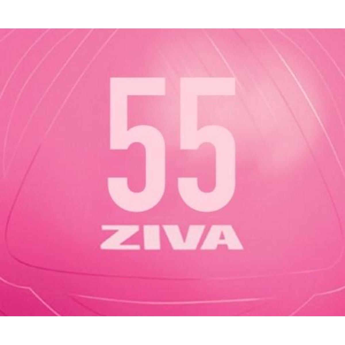 Fitball ZIVA chic 55cm 3/3
