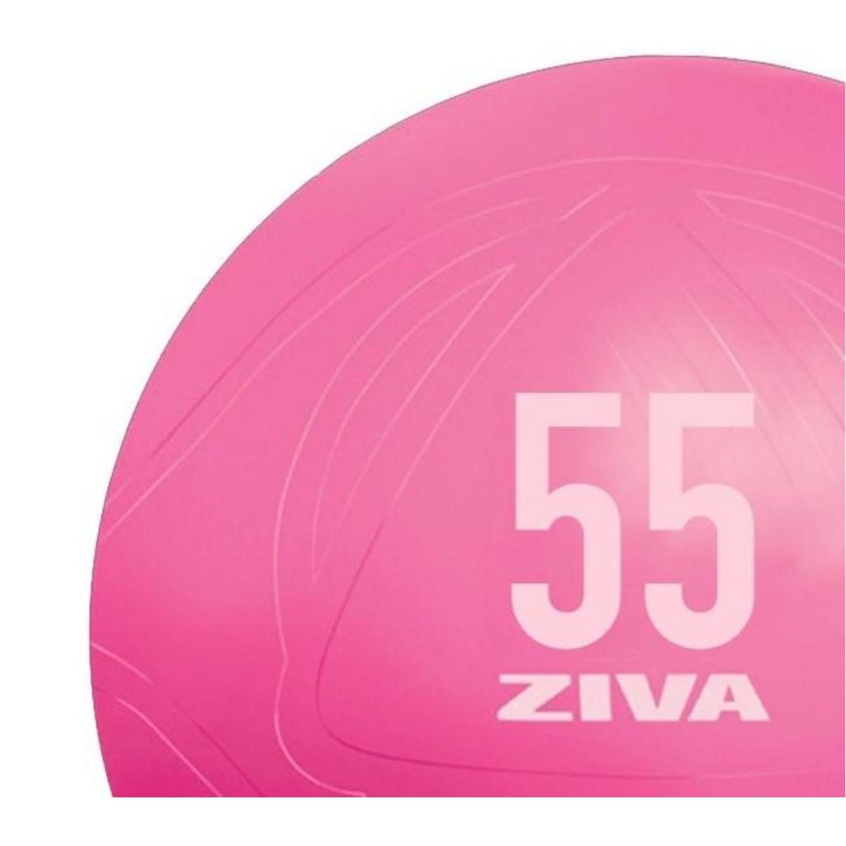 Fitball ZIVA chic 55cm 2/3