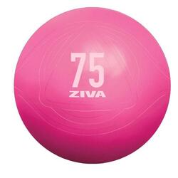 Fitball ZIVA chic 55cm