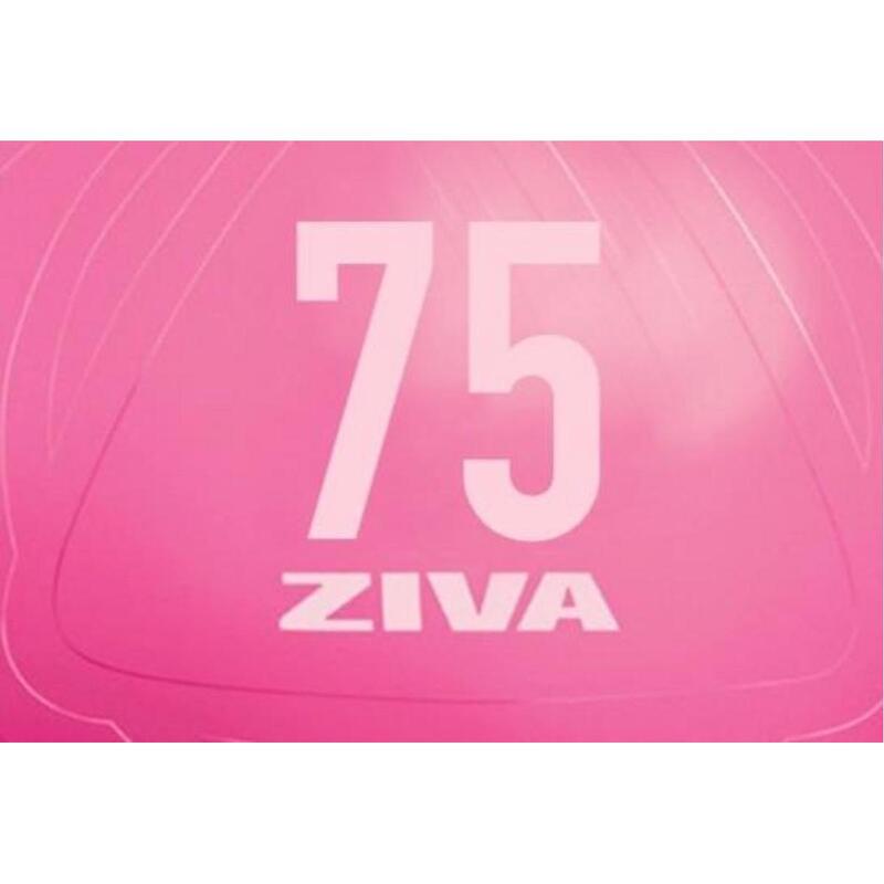 Fitball ZIVA chic 75cm