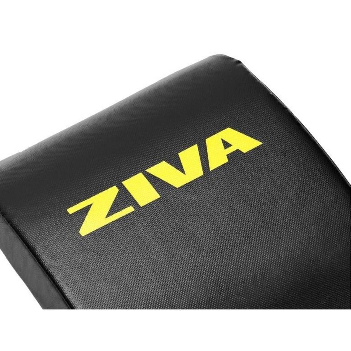 ABS Pad ZIVA 2/3