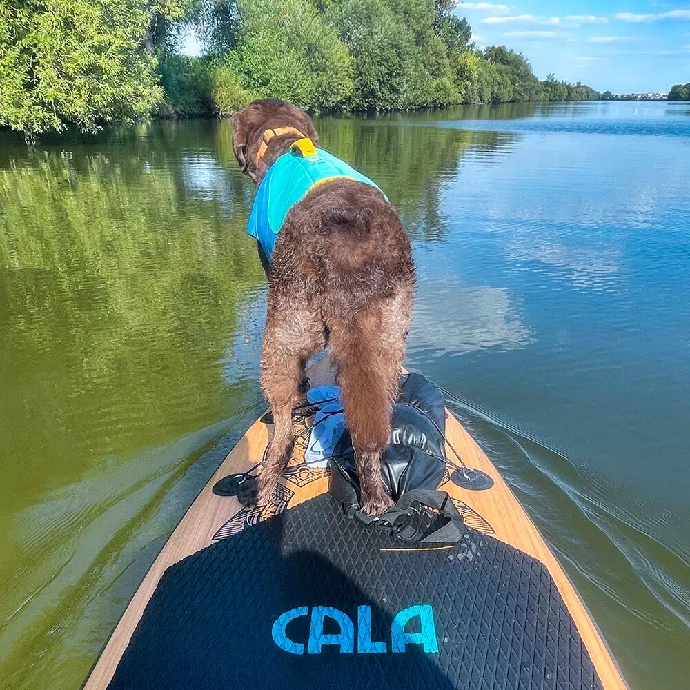 CALA Mana 2026 SUP 11'6" SUP Board Set - Il tuttofare 7/7