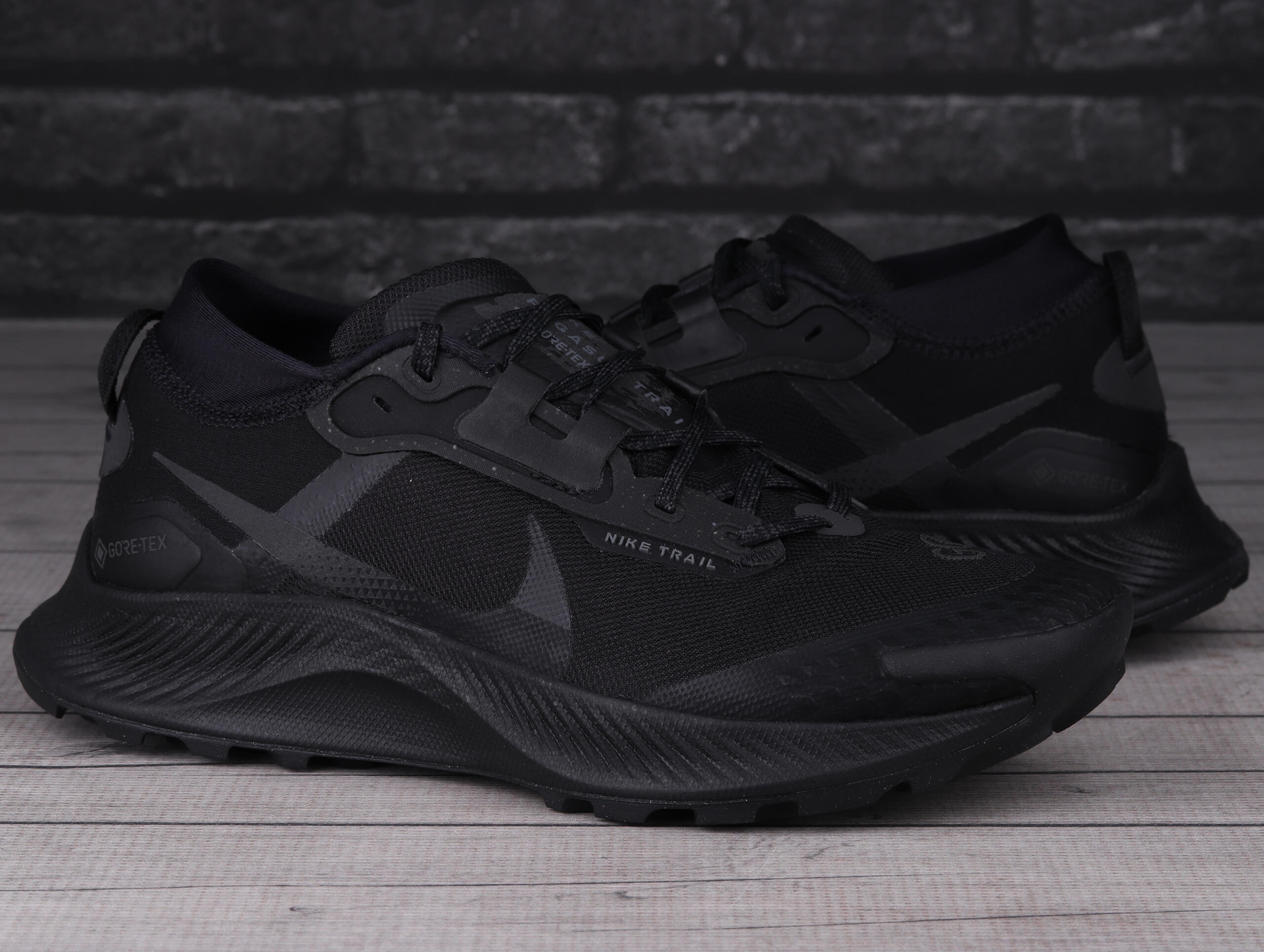 Air Pegasus Trail 3 GTX DC8793 2/7