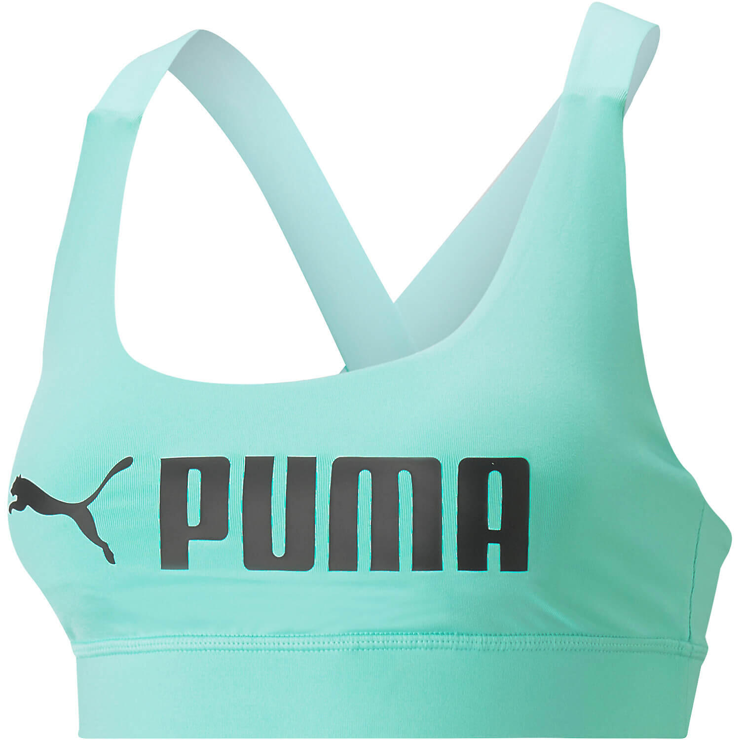 PUMA picture