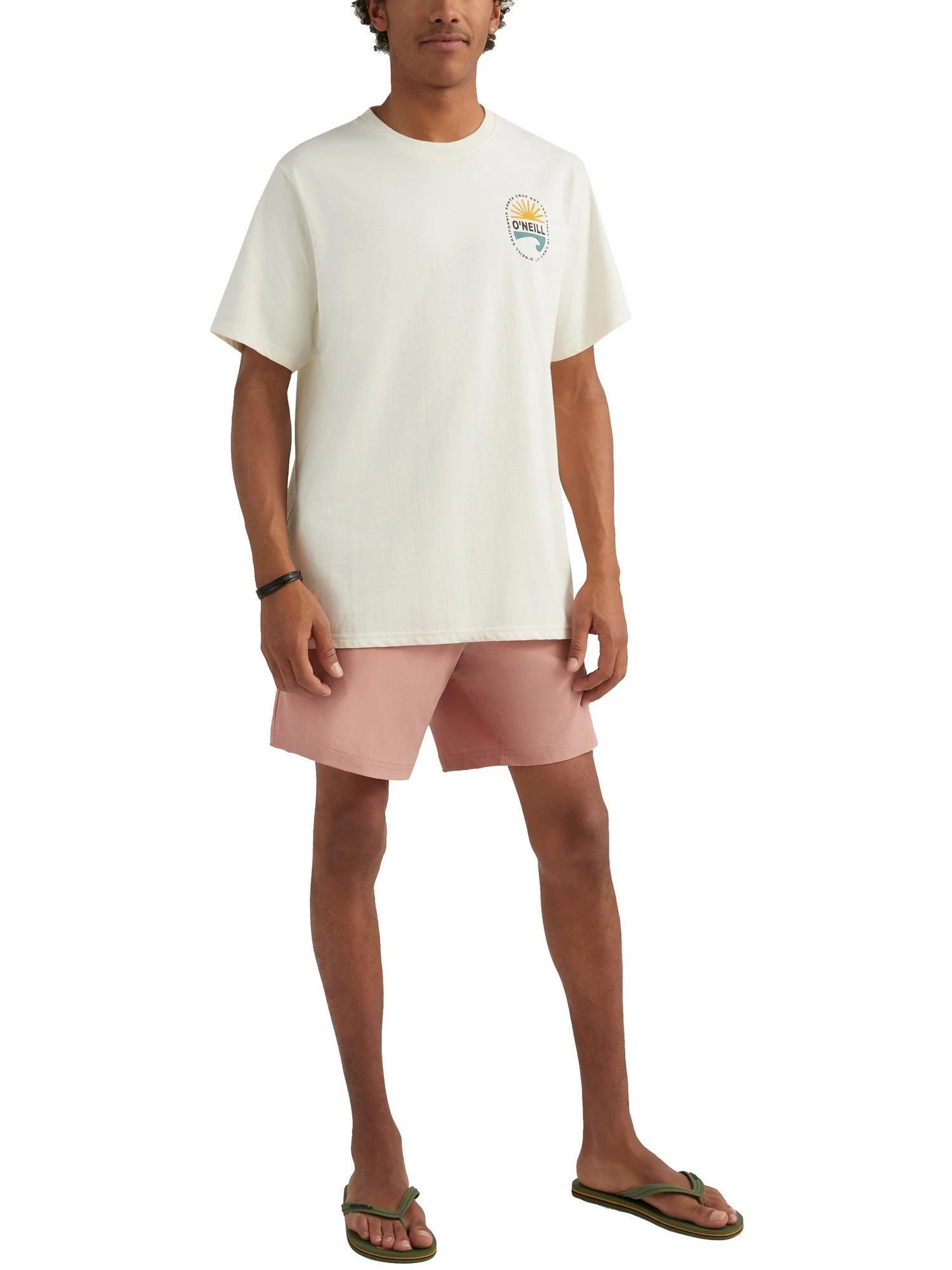 O'NEILL O'neill T-Shirts VINAS T-SHIRT  Hommes Birch 4/7