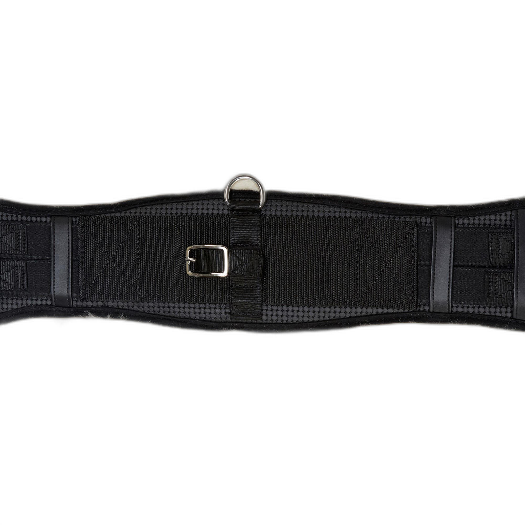 Sangle de dressage d'équitation intégrée LeMieux 3/7