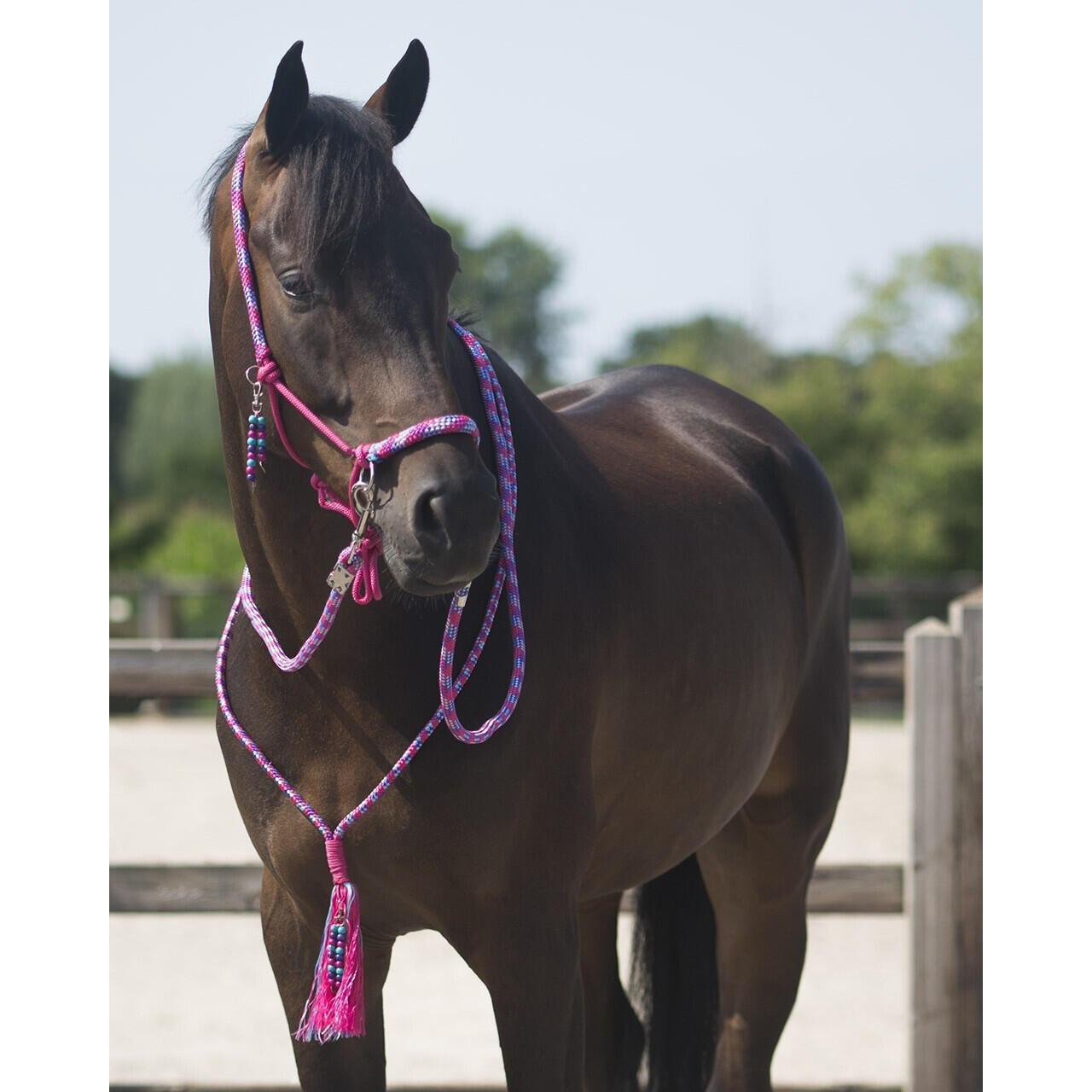 QHP Touwhalster & Neckrope Liberty - Fuchsia (Full) (Full) 4/4