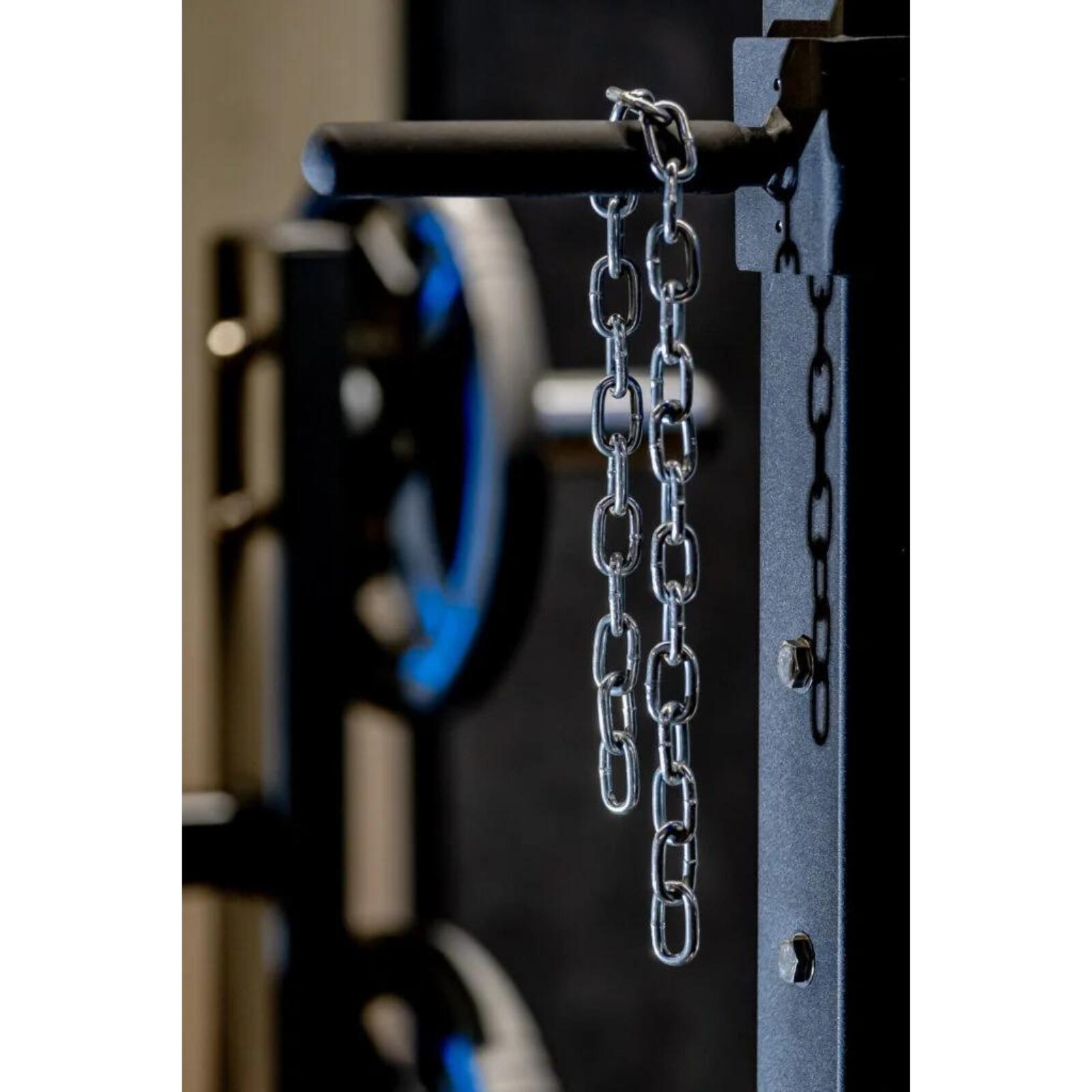 Belt Squat Maschine - Evolve Fitness PR-005 6/7
