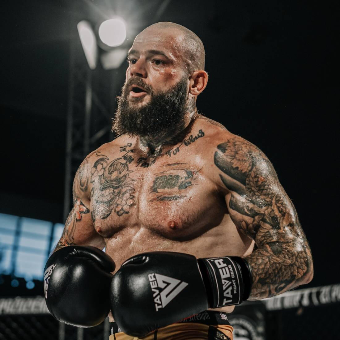 Rękawice bokserskie sparingowe DBX Bushido TAVER 2/7