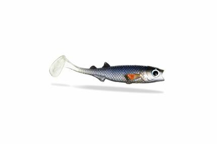 Leurre souple - Renky Shad 7,5cm - White Fish