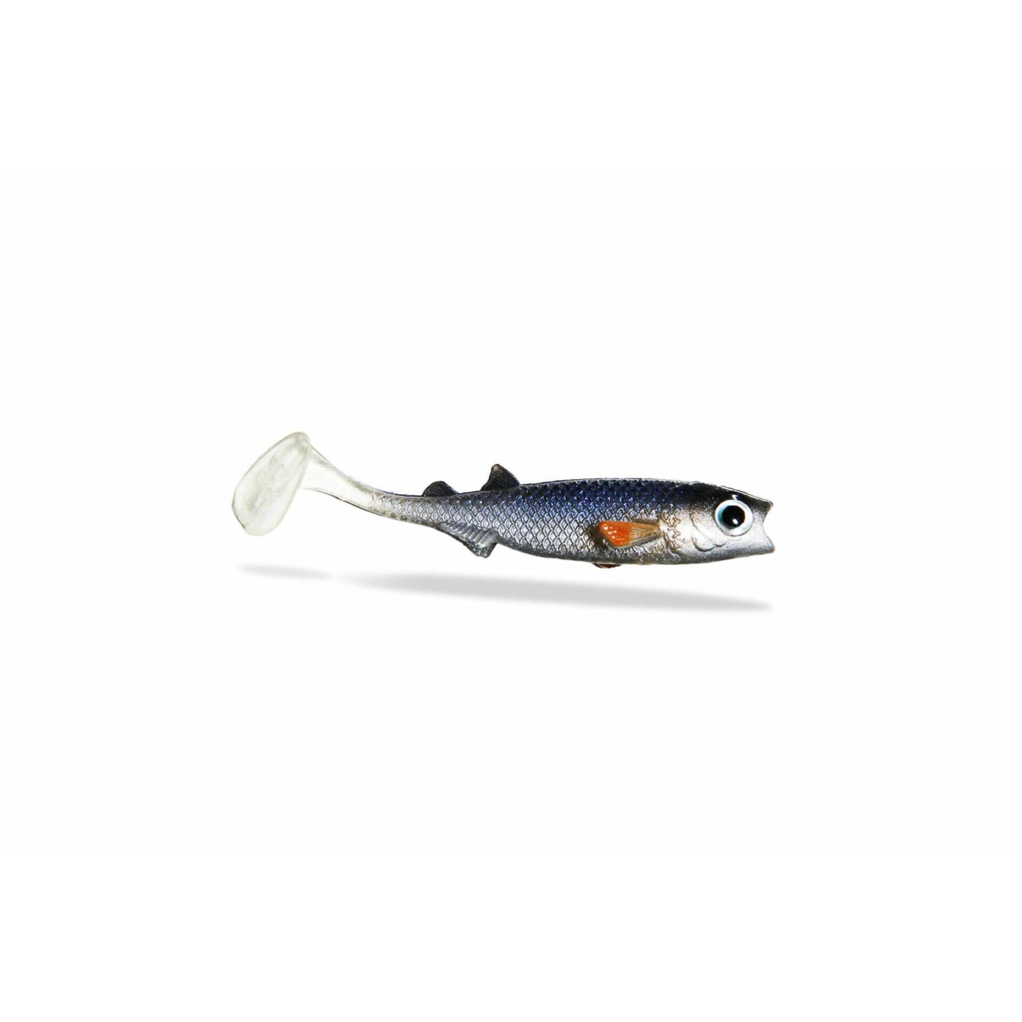 Renky Shad 7,5cm - Esca morbida - Pesce bianco