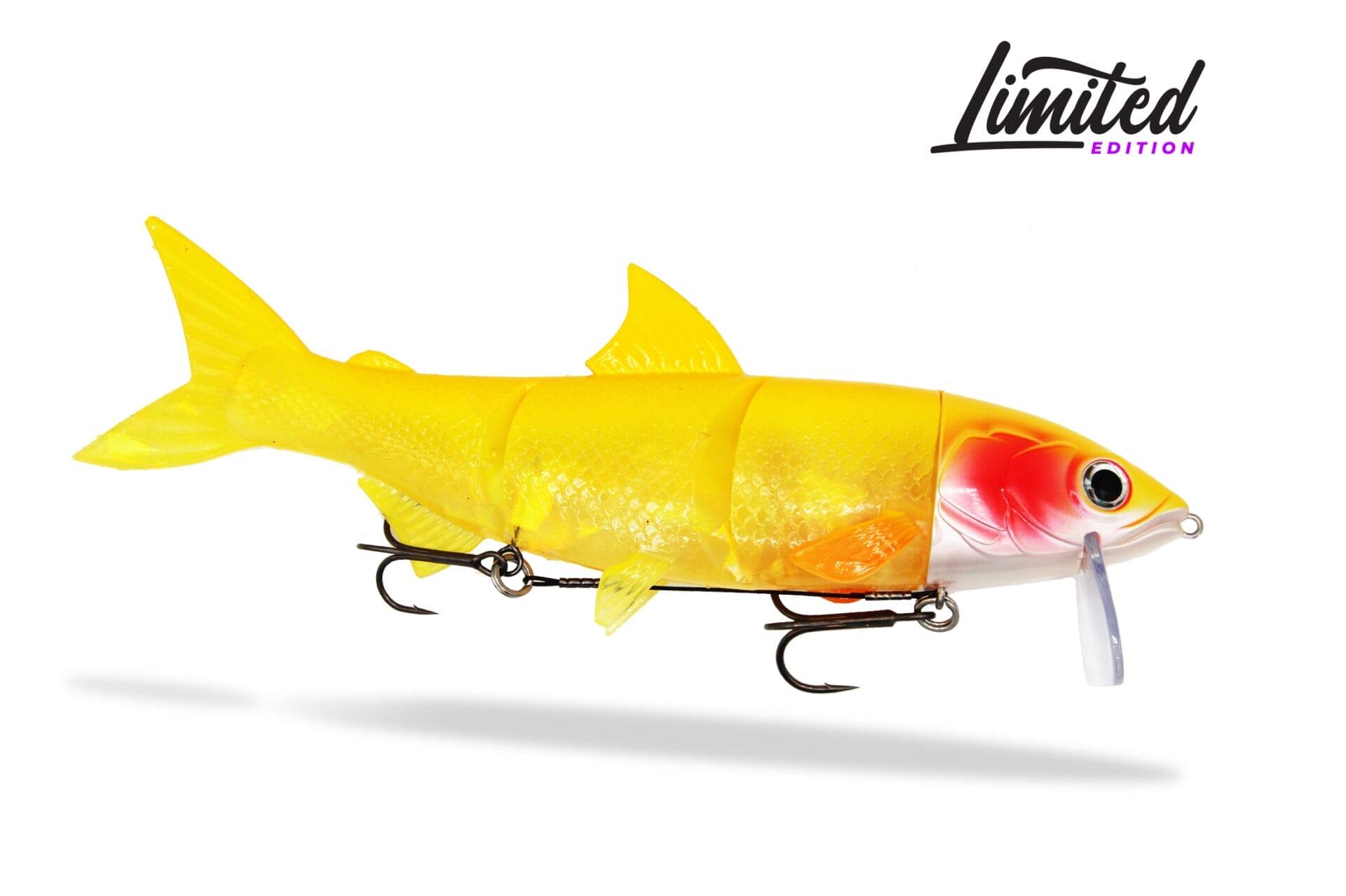 FISHINGGHOST Esca morbida siliconica - Renky One 25cm – Orange Crystal