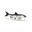 Renky One 25cm - Hybrid Swimbait Renky Fish - 180g - White Fish