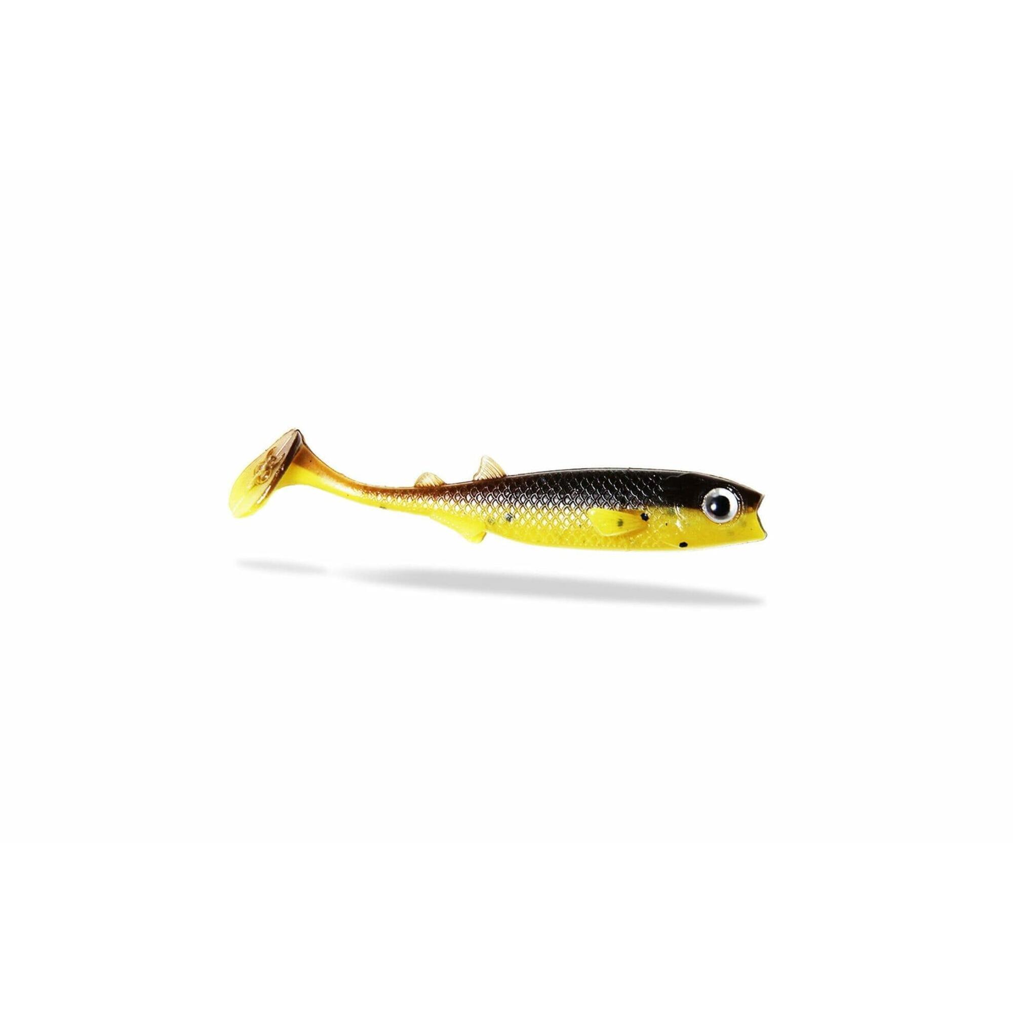 Renky Shad 7,5 cm - Esca morbida - Semi di zucca